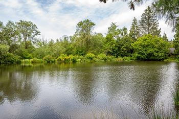 A serene lake surrounded by lush greenery under a partly cloudy sky.